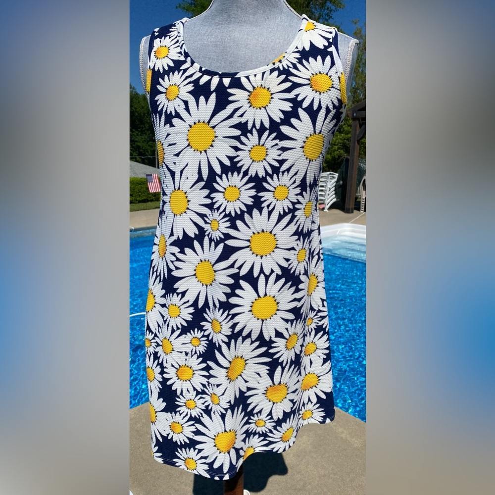 Ronni Nicole Daisy Dress Size Large